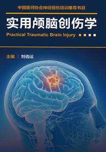 重生之巅峰传说
