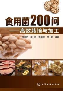 史上最强搞笑同桌