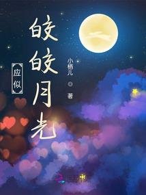 一叶狂少