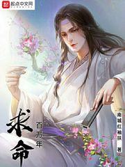 梧桐飘飘的码农时代