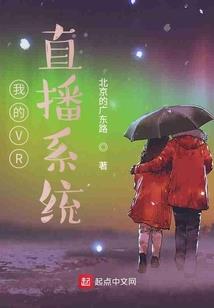 最后一个幻想家