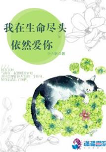 财色美利坚