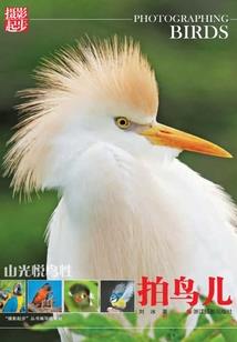 欧皇在异界