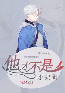王权绝恋一我的公主恋人