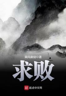 穿越的雷天使