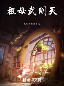 驰骋的风