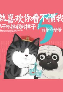 抓紧吧爱情