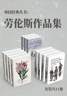 梦蝶人生