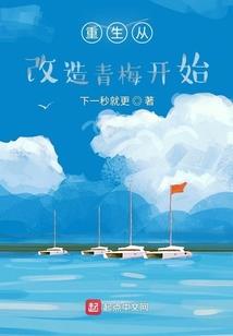 星战之齐天星使