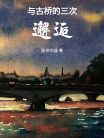 首席老公，我要离婚！