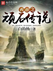 你说天上有流星
