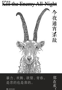 妃诚勿扰之谁敢不从本王