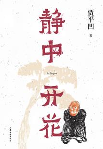 王小乐历险记