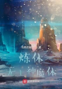 继承人的光芒