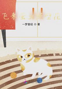 菲爱不可