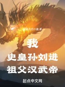 金牌杀手之苍焰之王