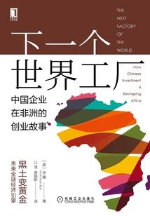 夏天的微笑之网球王子