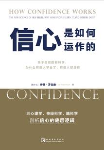 一面破镜子