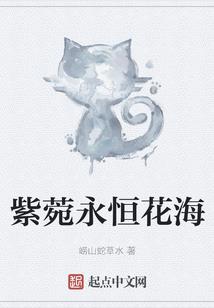 星空中的那颗星