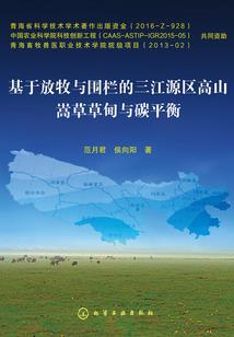 我，神奇宝贝之王