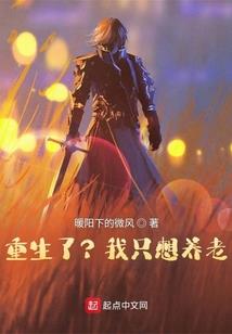 归元战记