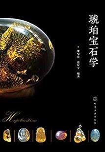 我的阳光三年