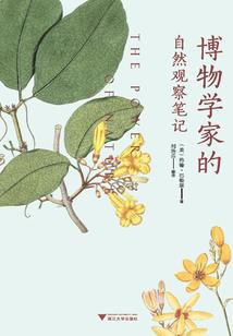 异界之玫瑰妖娆
