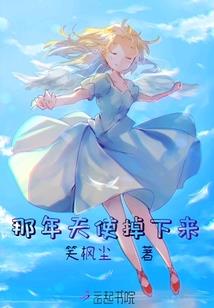 误判2013