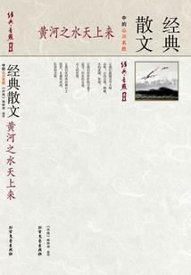 十灵传