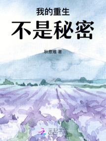 一人一个系统