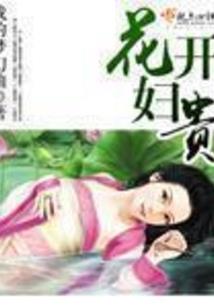 穿越之阑珊物语