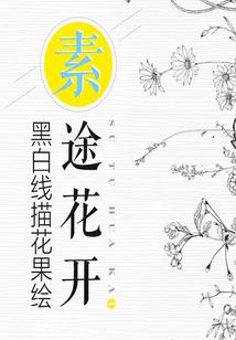奇迹补完计划