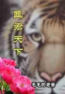夜将城