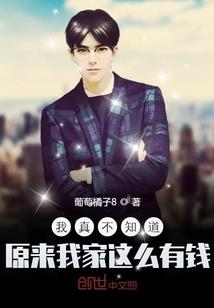 我的城市规则无限