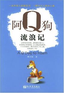 笑傲锦衣