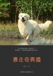 穿越惊险游戏