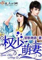 乱世赋君临天下