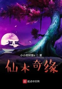 圣魔笔记