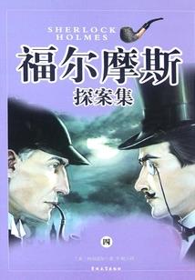 狸狸愿上猫
