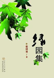 惹火娇妻买一送一