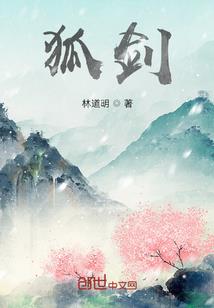 傻王爷的冷媚王妃