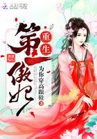 再起风云之北权
