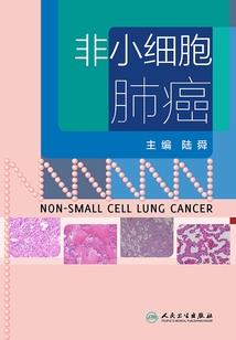 崩坏的西格玛世界