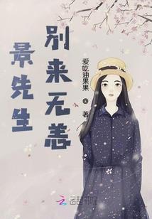 总裁是偏执狂