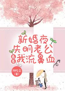 十一月的雨，我遇见你