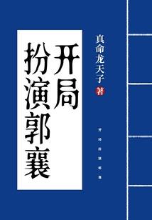 城市之光之羊皮卷