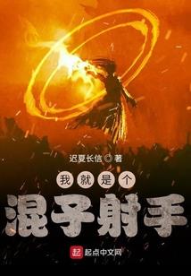 飞机上的不速之客