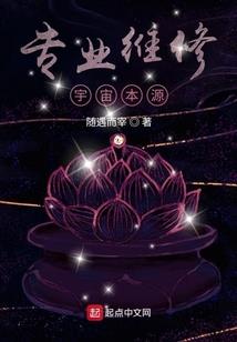 双星辉映