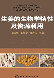 江山之娇