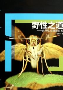 极致融合